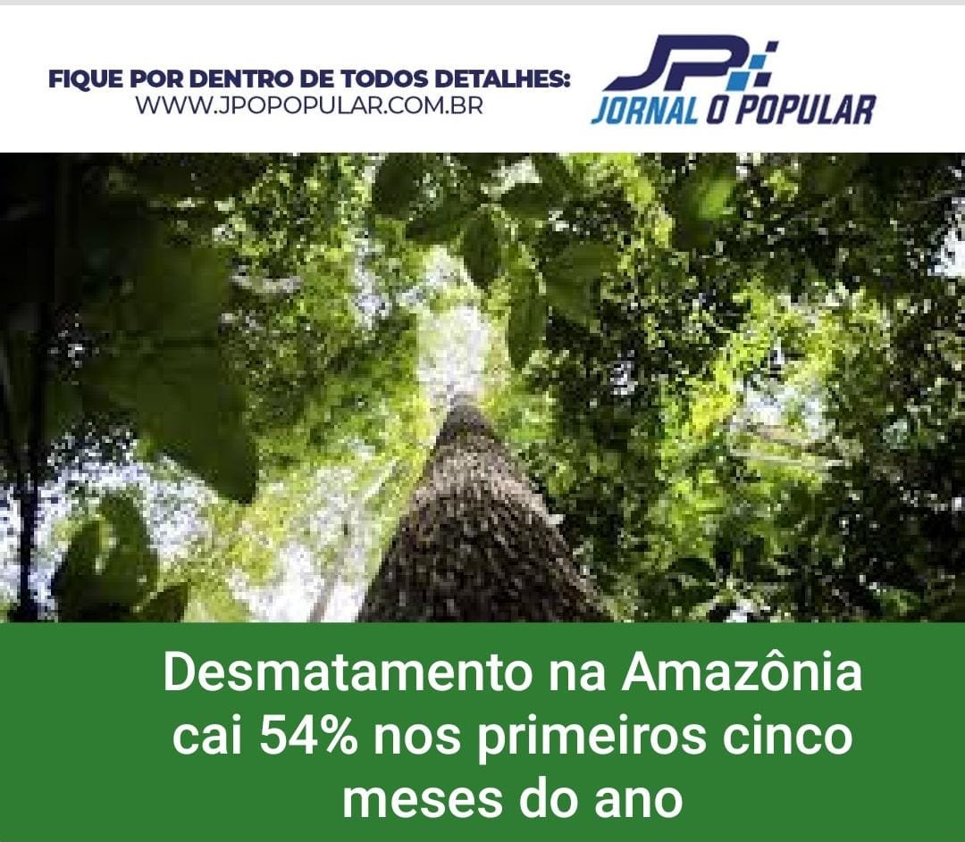 Cai Em O Desmatamento Na Amaz Nia Nos Primeiros Cinco Meses Do Ano