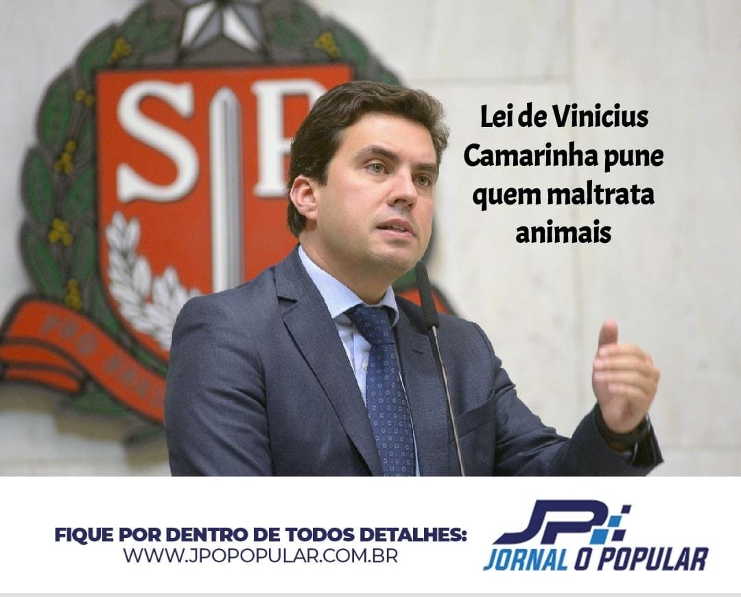 Dezembro Verde – Lei de Vinicius Camarinha pune quem maltrata animais