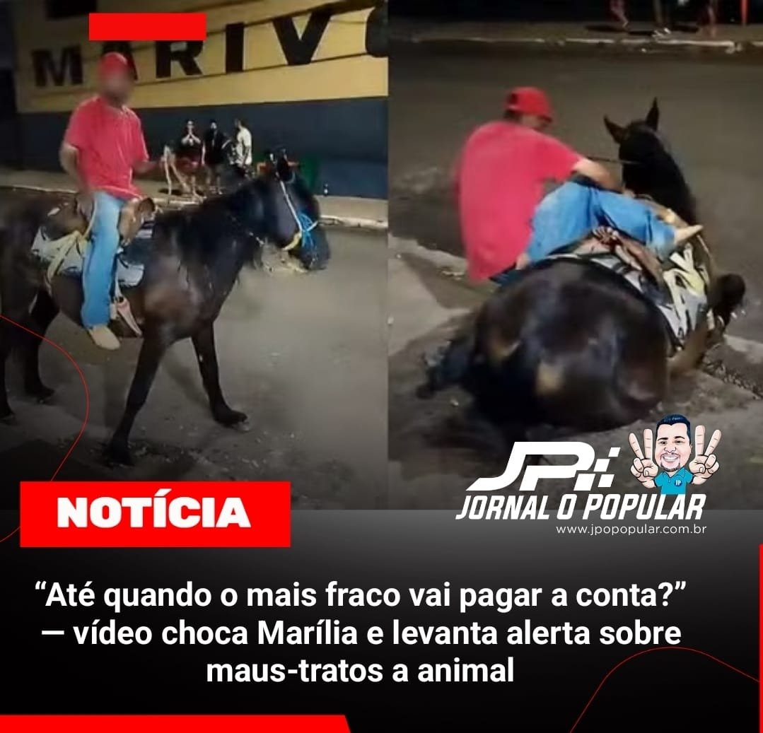 “Até quando o mais fraco vai pagar a conta?” — vídeo choca Marília e levanta alerta sobre maus-tratos a animal